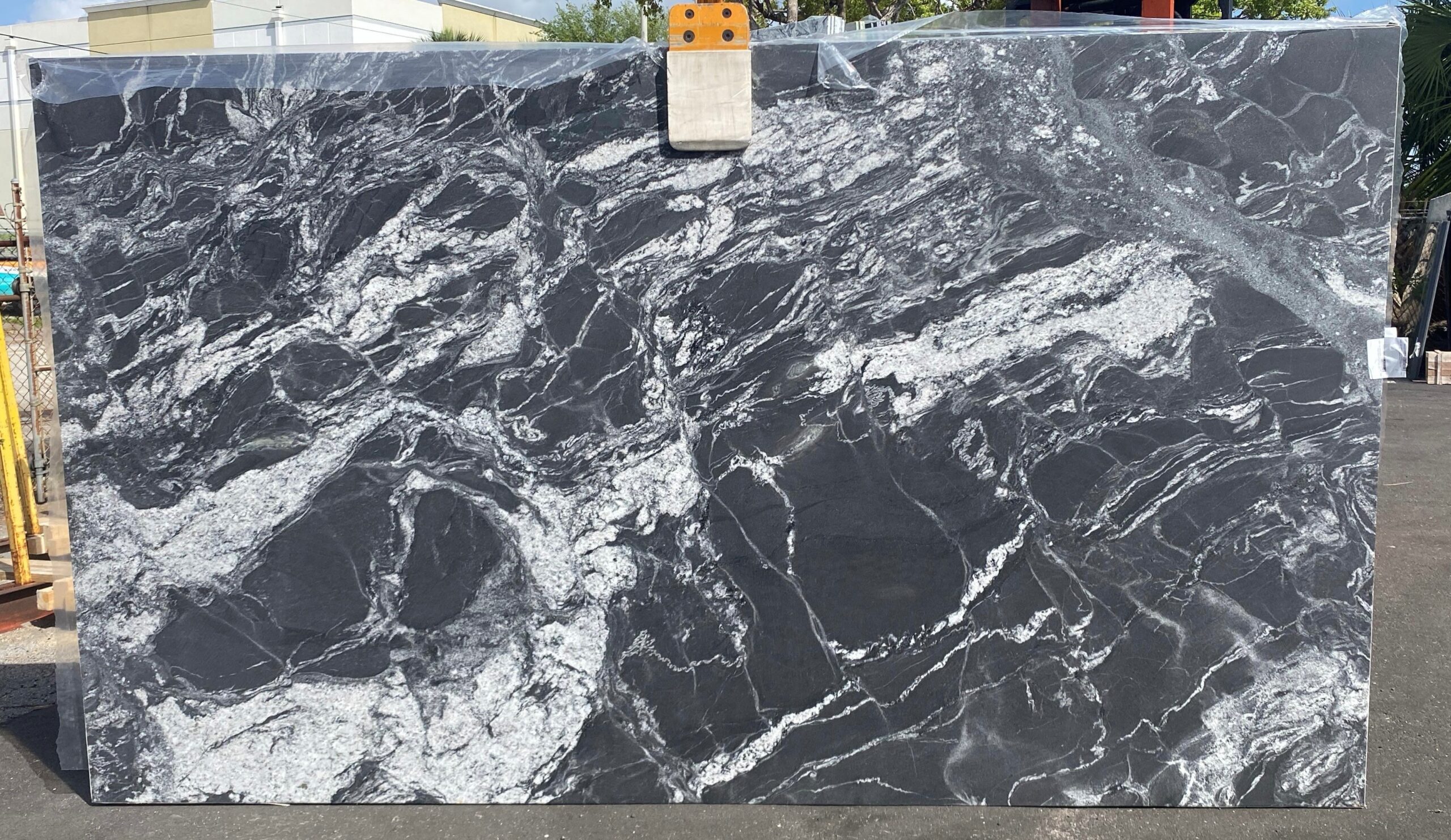 Black-Forest-Dual-Finish-6083-